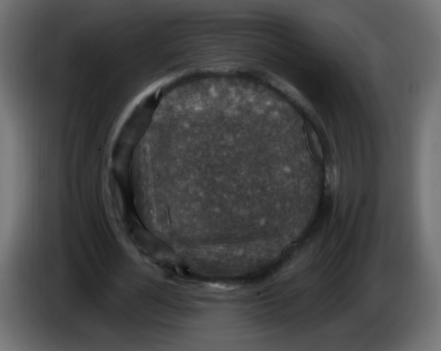 X0000086050724200704131955