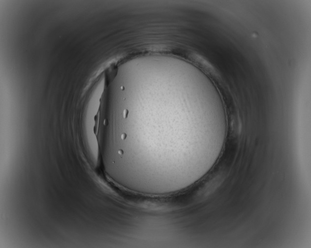 X0000086050725200704131955