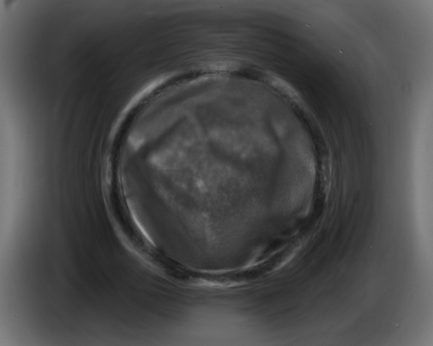 X0000086050726200704131955