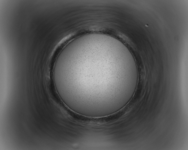 X0000086050727200704131955