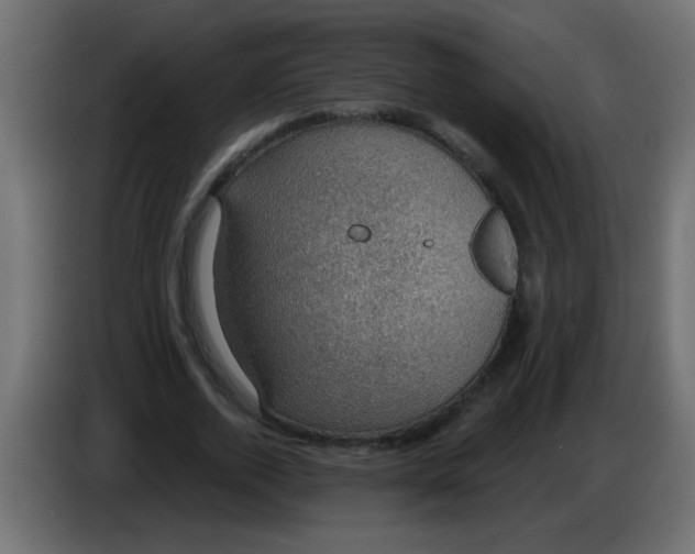 X0000086050728200704131956