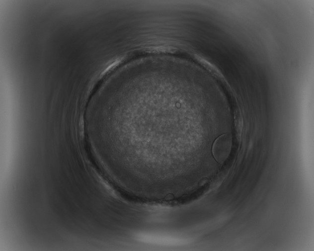X0000086050729200704131956