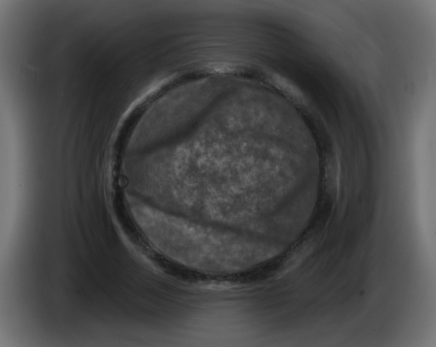 X0000086050730200704131956