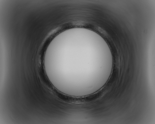 X0000086050731200704131956