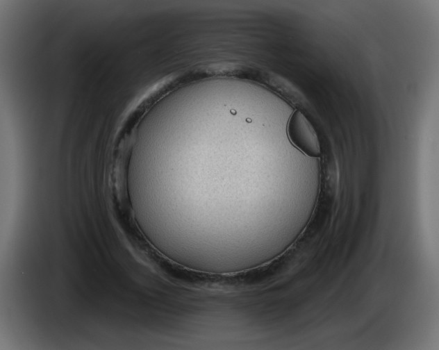 X0000086050732200704131956
