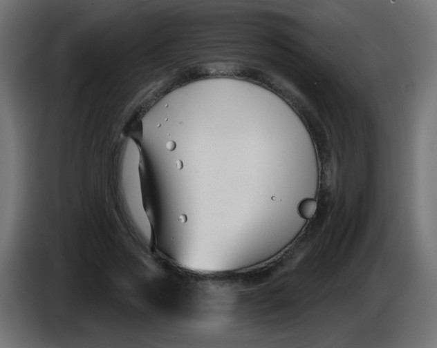 X0000086050733200704131956