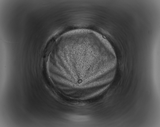 X0000086050735200704131956