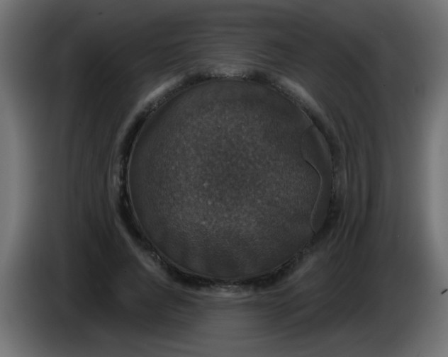 X0000086050736200704131956