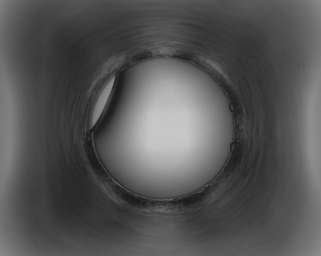 X0000086050738200704131956