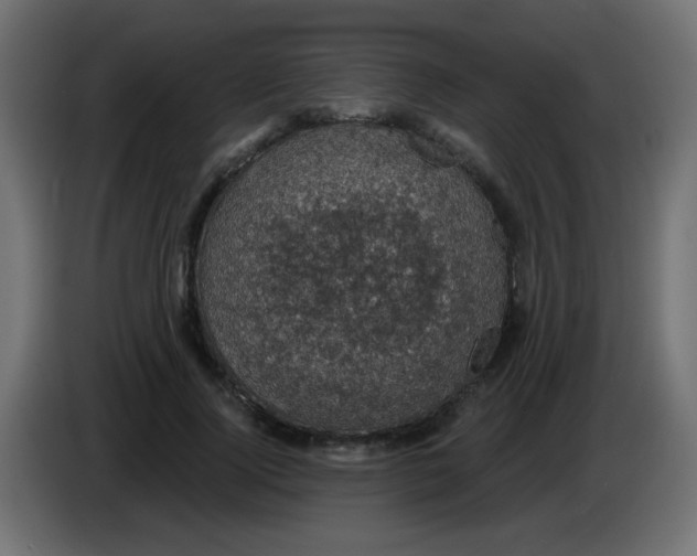 X0000086050740200704131956