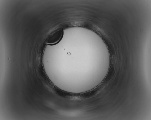 X0000086050741200704131956