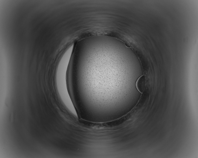X0000086050742200704131956