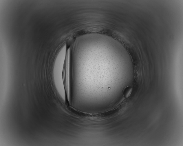 X0000086050745200704131956