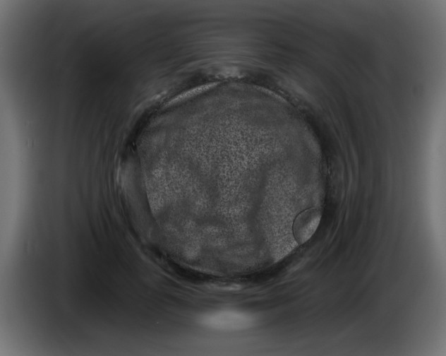 X0000086050747200704131956