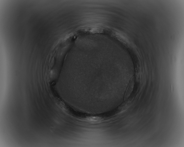 X0000086050748200704131956