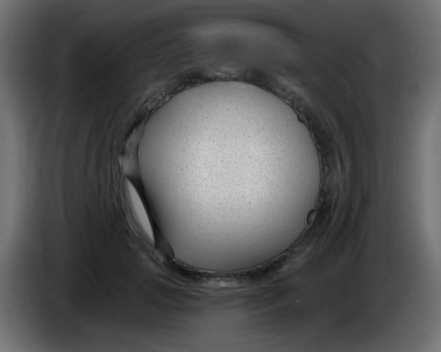 X0000086050749200704131956