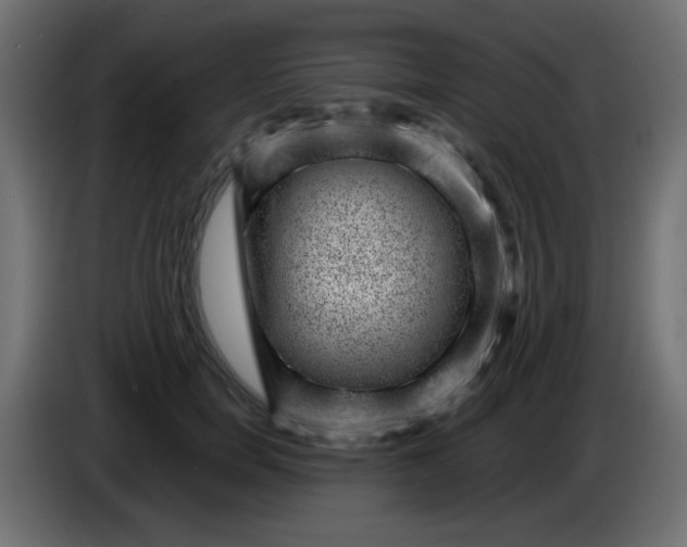 X0000086050750200704131956
