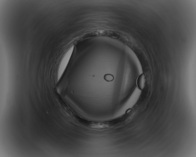 X0000086050754200704131956