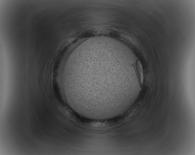 X0000086050756200704131956