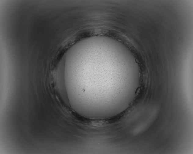 X0000086050757200704131956
