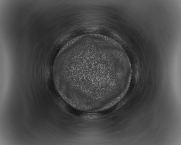 X0000086050758200704131956