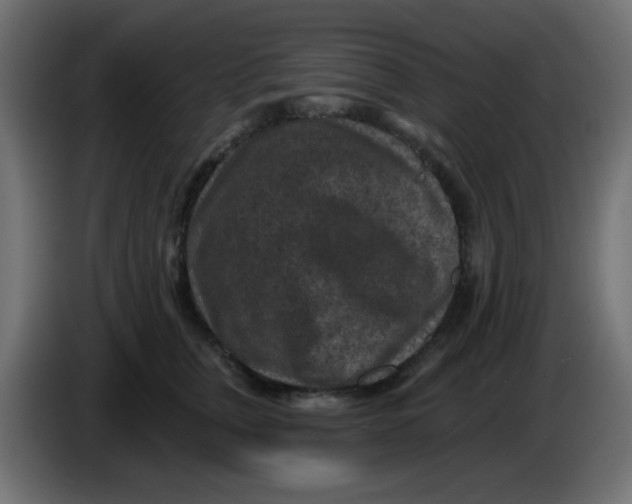 X0000086050759200704131956