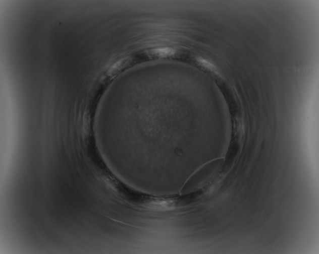 X0000086050760200704131956
