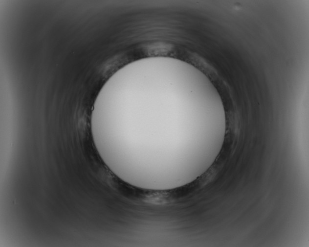 X0000086050761200704131956