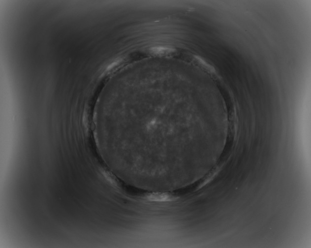 X0000086050762200704131956