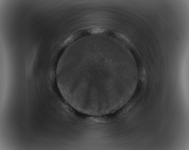 X0000086050763200704131956