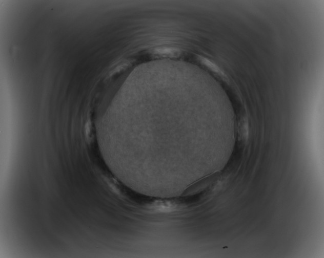 X0000086050764200704131956