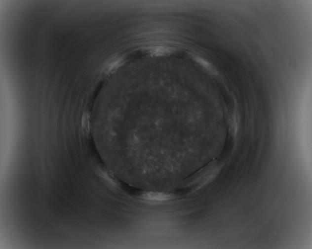 X0000086050766200704131956