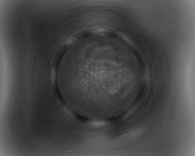 X0000086050767200704131956