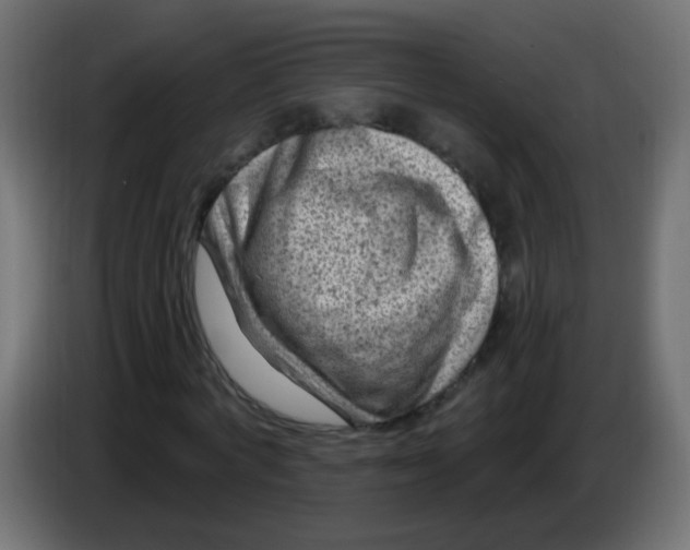 X0000086050772200704131955