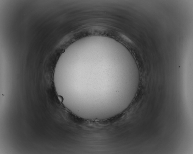 X0000086050774200704131955