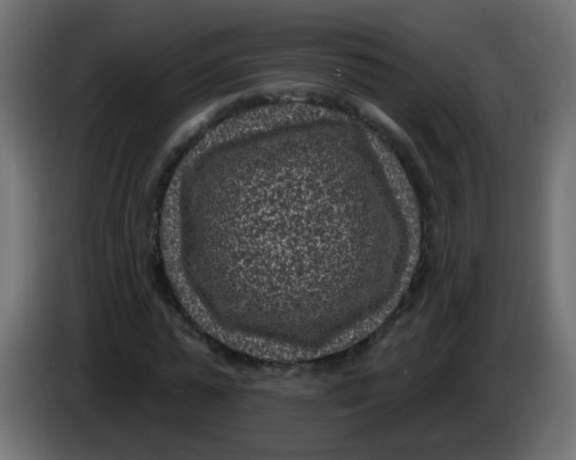 X0000086050775200704131955