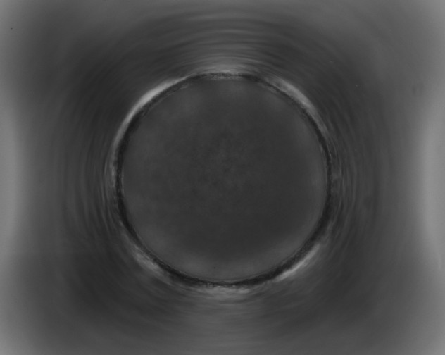 X0000086050779200704131955