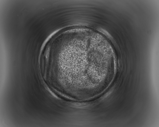 X0000086050780200704131955