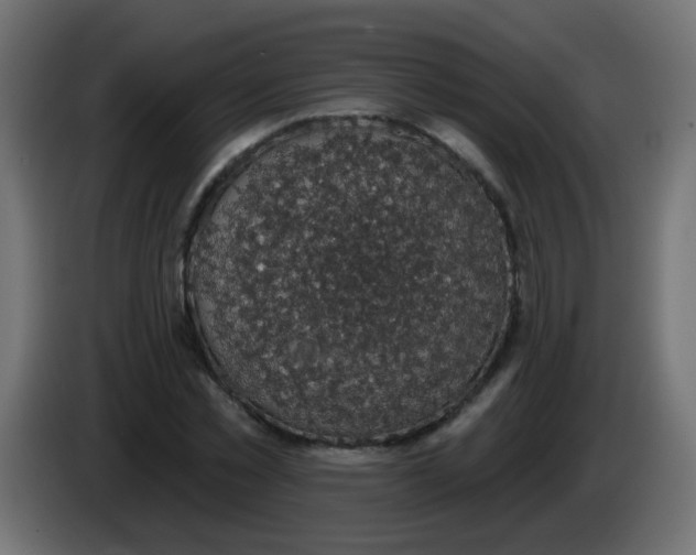 X0000086050781200704131955