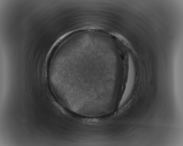 X0000086050784200704131955