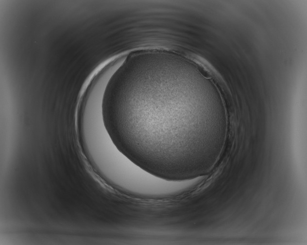 X0000086050788200704131955