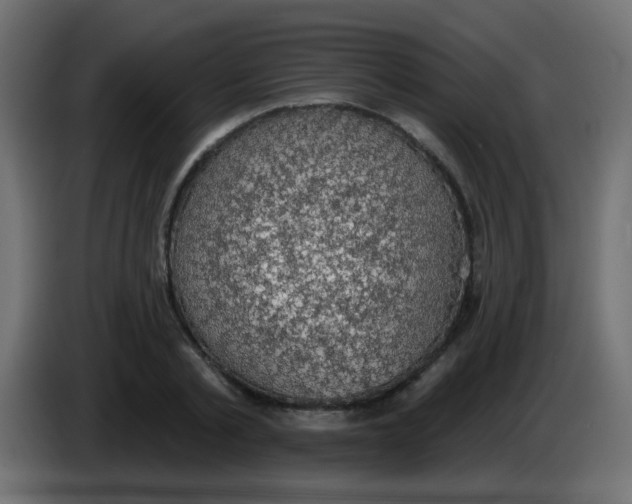 X0000086050789200704131955