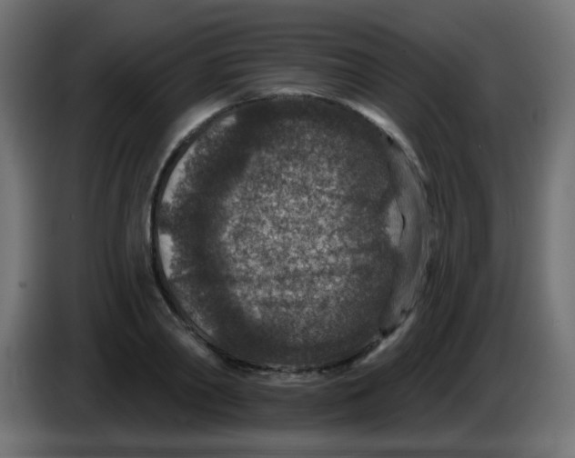 X0000086050790200704131955