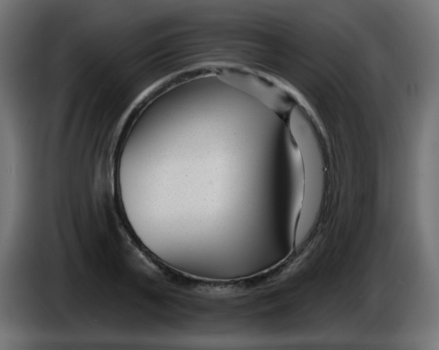X0000086050791200704131955