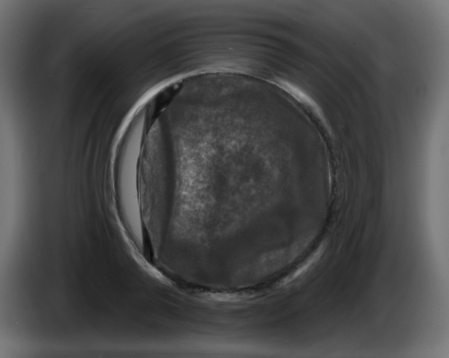 X0000086050792200704131955