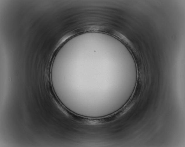 X0000086050794200704131955