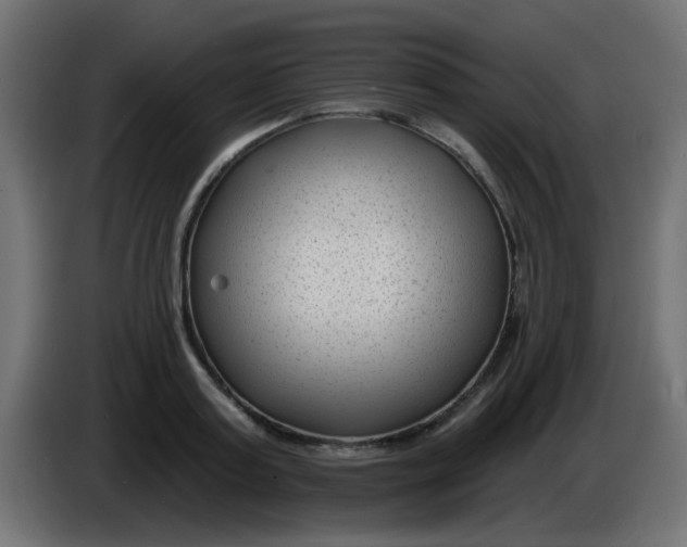 X0000086050795200704131955