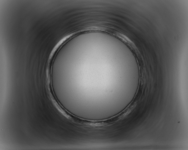 X0000086050796200704131955