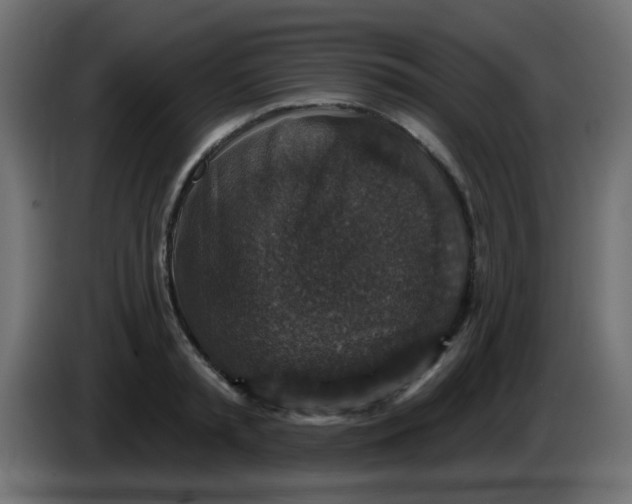 X0000086050797200704131955