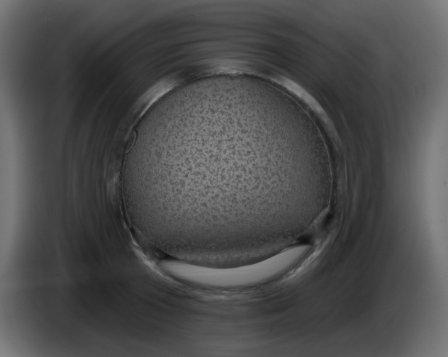 X0000086050801200704131955